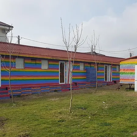 Orman Evi Goa Can